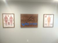 Vector Spine and Sport Chiropractic image 2